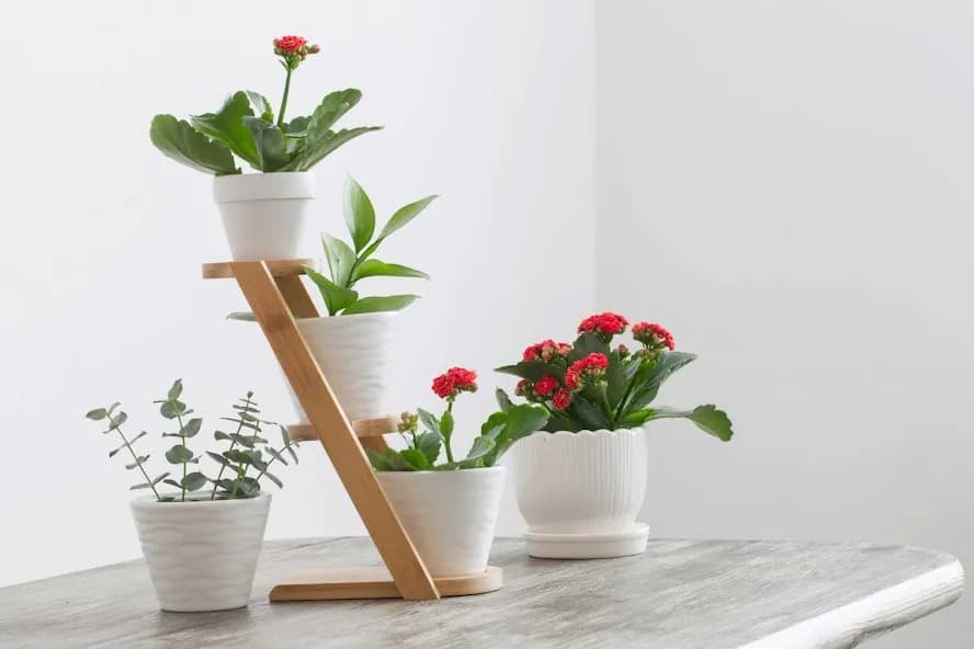 Kwietnik kaskadowy DIY: Praktyczny poradnik krok po kroku