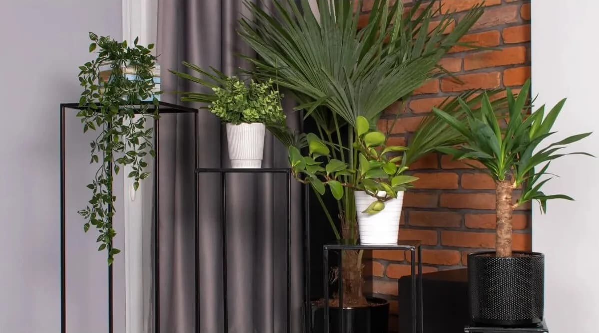 Kwiaty na kwietnik: Jak wybrać idealne rośliny do domu?