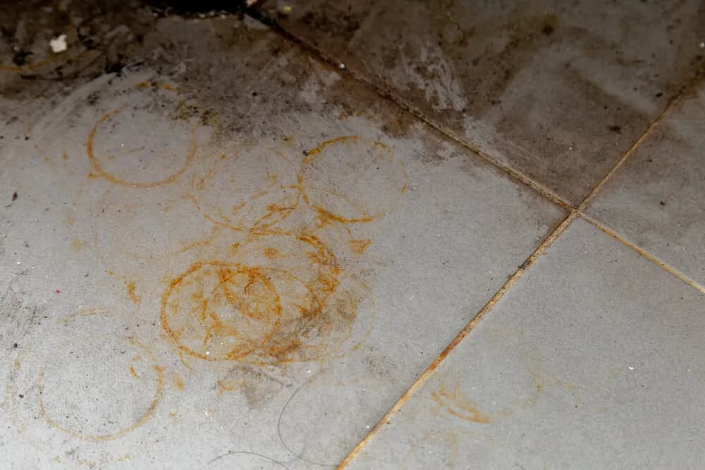 Czyszczenie kamienia dekoracyjnego: Jak bezpiecznie usunąć plamy?